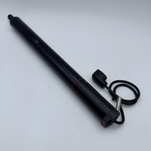 Raymarine st4000 plus tiller - raymarine,